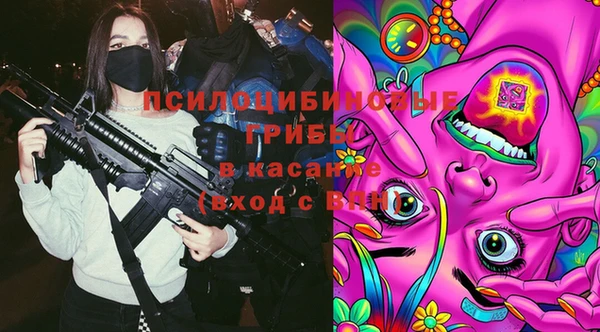 прущие крисы Елабуга