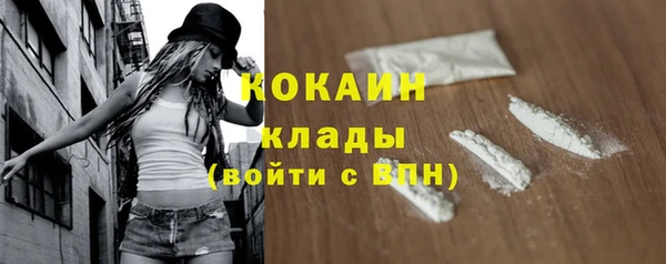 индика Дмитров
