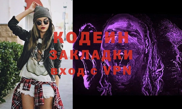 шишки Дмитровск