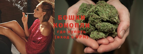 прущие крисы Елабуга