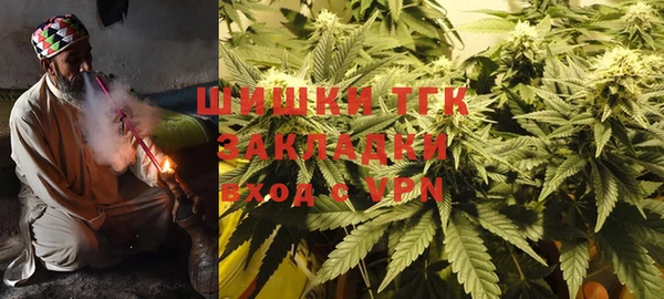 ешки Ельня
