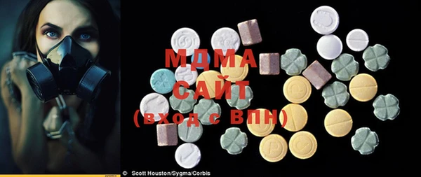 ешки Ельня