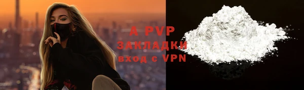 шишки Дмитровск