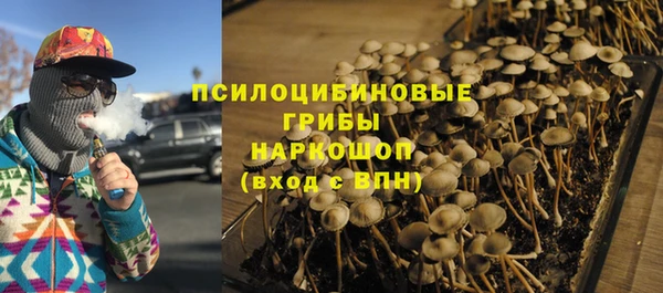 кокаин перу Дмитриев