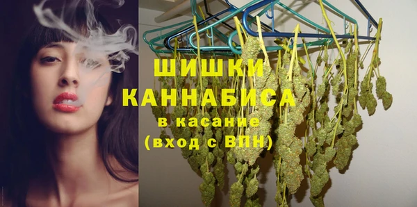ешки Ельня