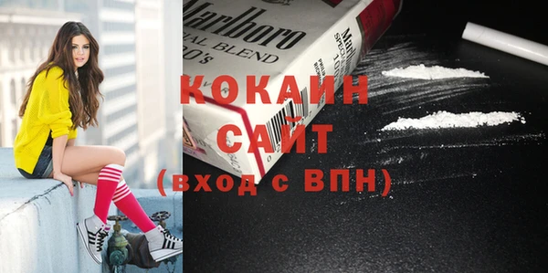 винт Елизово