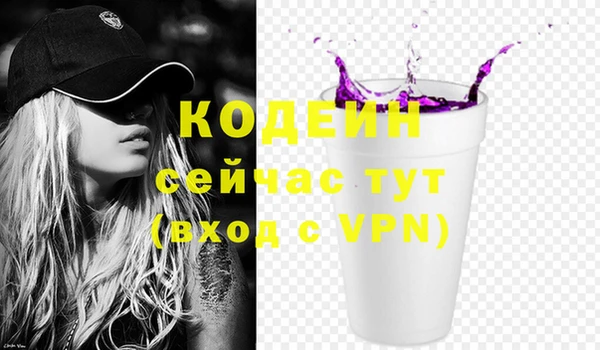 винт Елизово