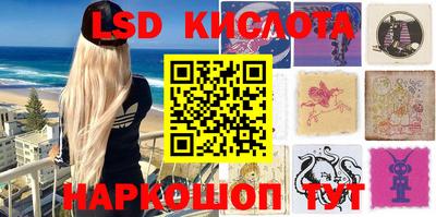 стафф Донской