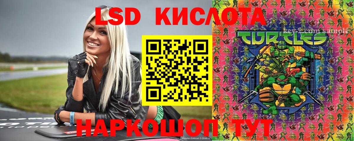 A PVP Ишим