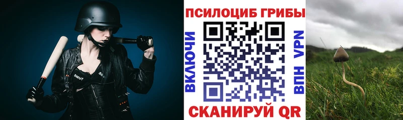 kraken рабочий сайт  где купить   Ишим  Псилоцибиновые грибы ЛСД 