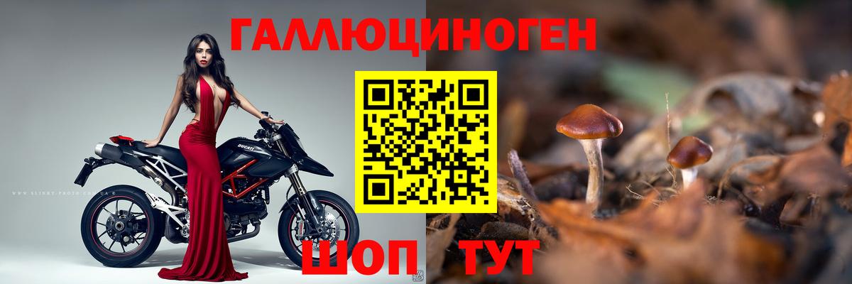 Гашиш  Ишим  МЕТАМФЕТАМИН  Вход с VPN  ЭКСТАЗИ  Меф МЯУ МЯУ кристаллы  КОКАИН  Альфа ПВП СОЛЬ   МАРИХУАНА 